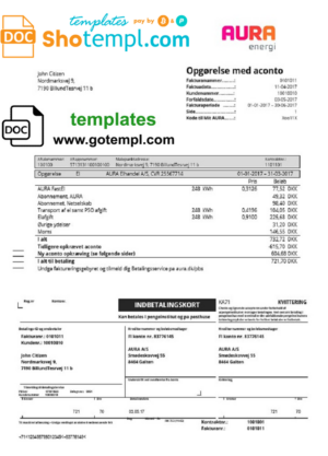 space company editable payslip template in Word and PDF formats