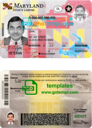 USA Maryland driving license template in PSD format