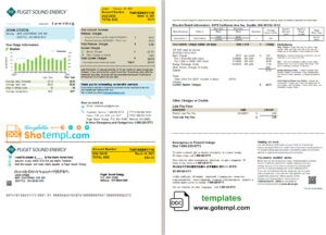 PAKISTAN GUJRANWALA ELECTRICPOWER utility bill Word and PDF template