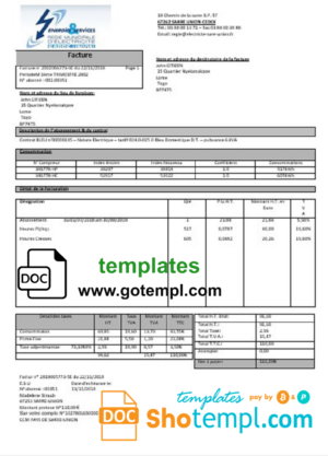 Paycor paystub Word and PDF template