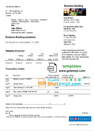 Lioyds Bank organization account statement Word and PDF template
