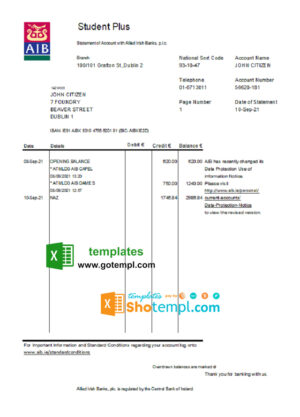 Japan Mizuho bank statement template in .xls and .pdf file format