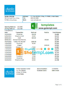 USA Charles Schwab & Co bank statement easy to fill template in .xls and .pdf file format