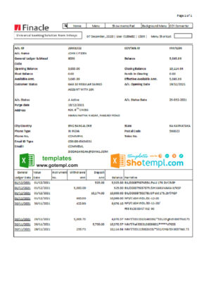 India Finacle bank statement easy to fill template in Excel and PDF format