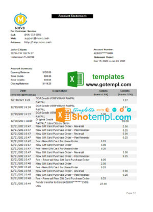 USA MOVO bank statement template in Excel and PDF format