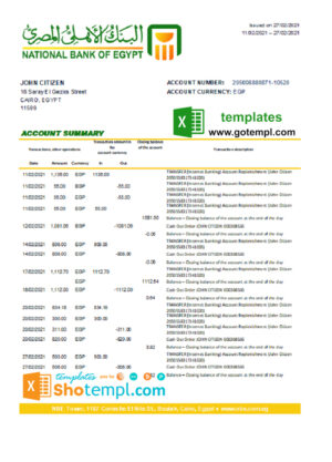 Egypt National Bank of Egypt bank statement easy to fill template in Excel and PDF format
