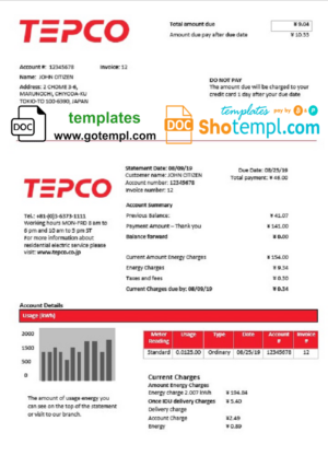 Japan Tokyo Electric Power Company (TEPCO) electricity utility bill template in Word and PDF format