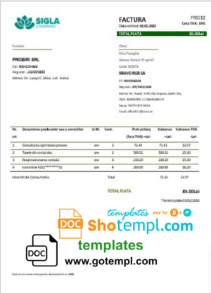 Oberbank company checking account statement Word and PDF template