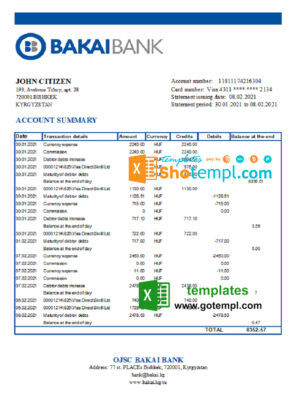 Kyrgyzstan OJSC Bakai Bank statement easy to fill template in Excel and PDF format
