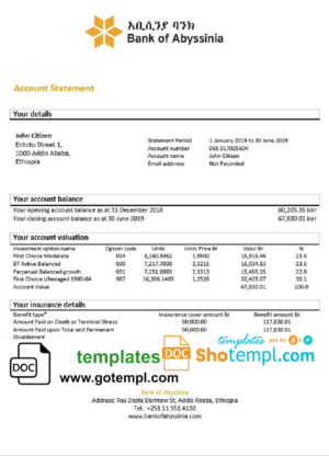 Ethiopia Bank of Abyssinia proof of address bank statement template in Word and PDF format