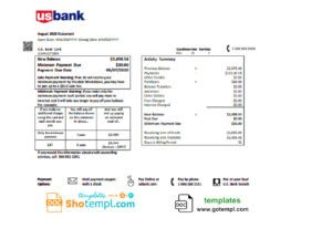 USA U.S. bank credit card statement template in Word and PDF format