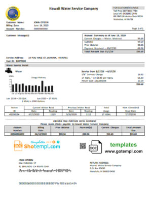 Georgia Liberty Bank statement easy to fill template in Excel and PDF format