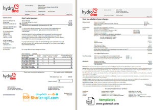 USA Ontario’s Hydro One electricity utility bill template in Word and PDF format (2 pages)