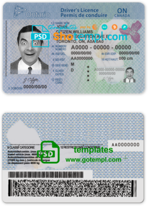 Bolivia Banco Central de Bolivia bank visa card debit card template in PSD format, fully editable