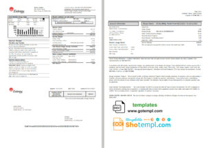 USA Louisiana Entergy utility bill template in Word and PDF format (2 pages)