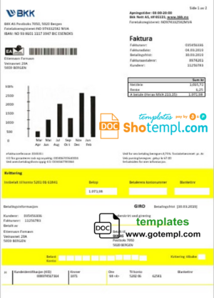 USA Verizon utility bill template in Word and PDF format, fully editable, version 2