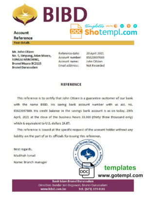 Ukraine Raiffeisen Bank mastercard fully editable template in PSD format