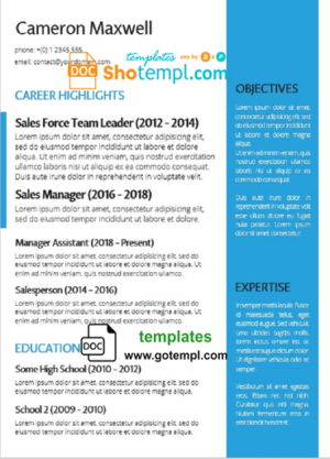 Fully Editable CV template in WORD format.