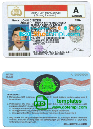 USA Michigan State driving license PSD template, 2021-present