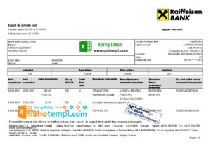 Romania Raiffeisen bank statement template in Excel and PDF format
