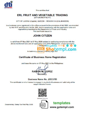 Philippines Department of Trade and Industry (DTI) private entrepreneur certificate template in Word and PDF format