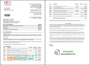 USA New York CFSB bank statement template in Word and PDF format, 2 pages