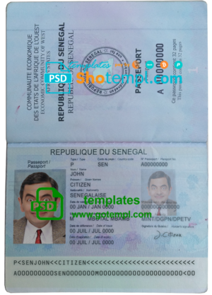 USA New York ID card editable PSD files, scan and photo taken image, 2 in 1