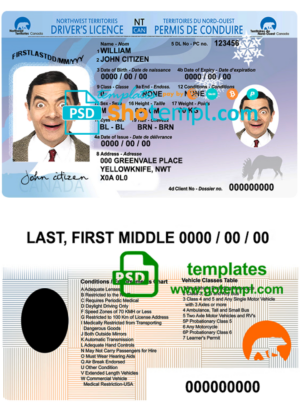 Singapore identity card PSD template, completely editable