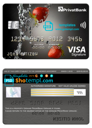 Algeria Banque nationale d’Algérie (BNA) bank visa card debit card template in PSD format, fully editable