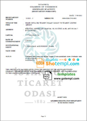 Turkey Istanbul Certificate of Activity template in Word and PDF format