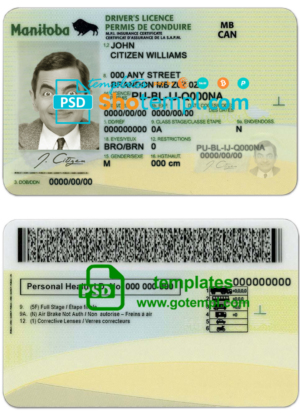 Canada Manitoba province driving license template in PSD format, fully editable