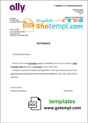 Qiib firm account statement Word and PDF template