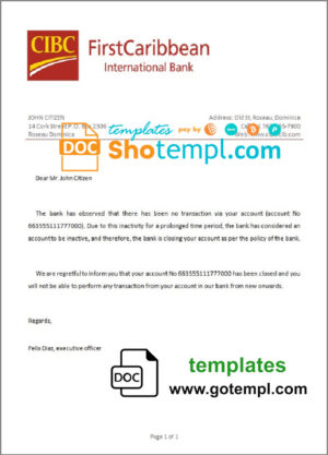USA Bank of Texas account statement Word and PDF template