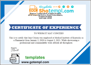 USA Job Experience certificate template in Word and PDF format, version 2