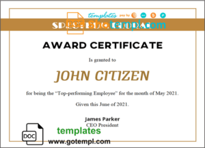 USA Award certificate template in Word and PDF format