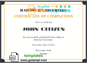 USA Recognition certificate template in Word and PDF format