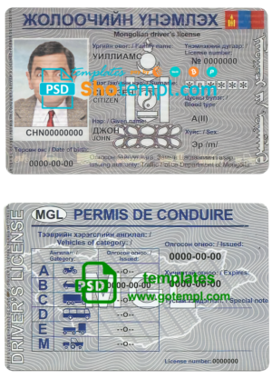 Mongolia driving license template in PSD format, fully editable