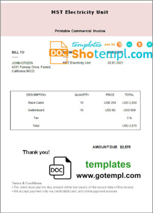 USA MST Electricity Unit invoice template in Word and PDF format, fully editable