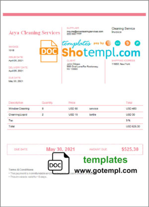 USA Arya Cleaning Services invoice template in Word and PDF format, fully editable
