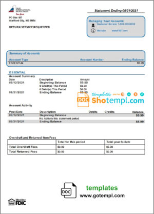 USA First International Bank & Trust bank statement template in Word and PDF format