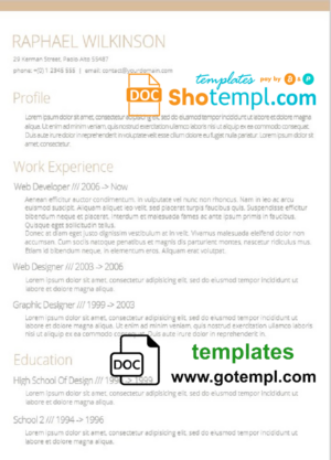 Professional High Quality Resume template in WORD format
