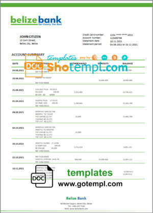 Belize bank statement template in Word and PDF format