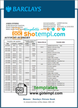PAKISTAN TMIRCO company earning statement template in Word and PDF formats
