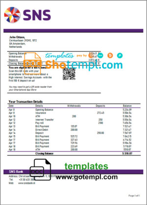 Rakbank enterprise account statement Word and PDF template