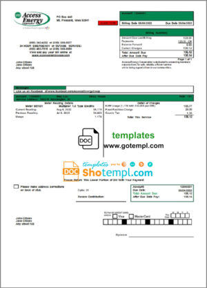 Shinsei Bank business statement Word and PDF template