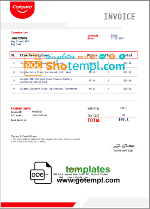 Accountancy Firm Invoice template in word and pdf format
