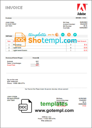 # fully mind pay stub template in Word and PDF format