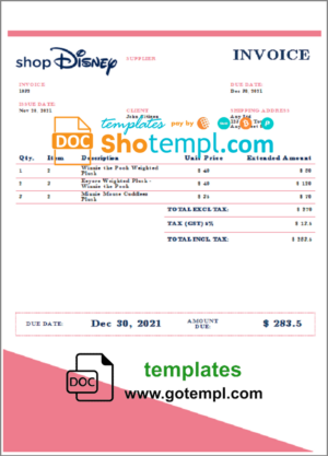 USA Nebraska Five Points Bank credit card statement template in Word and PDF format