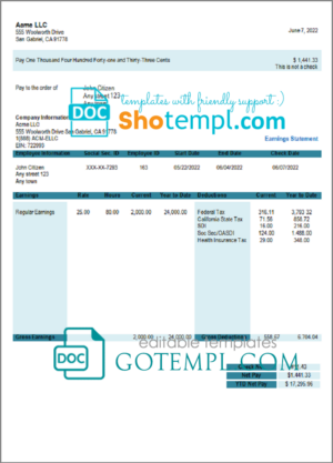# joyful start pay stub template in Word and PDF format