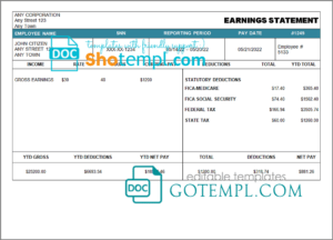 # local mind pay stub template in Word and PDF format